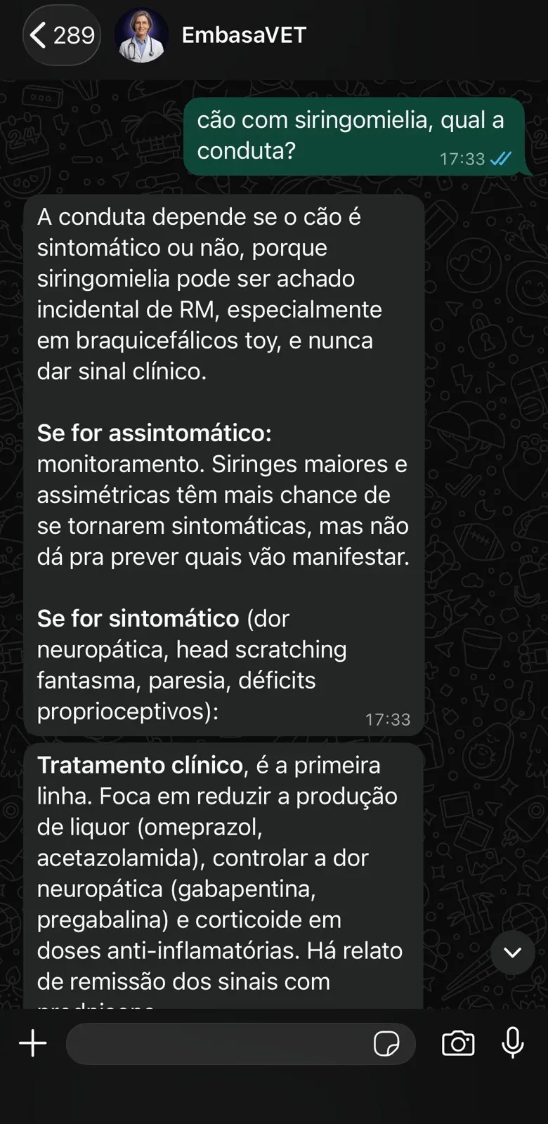 Conversa real no WhatsApp: conduta clínica pra cão com siringomielia respondida pelo EmbasaVET